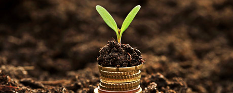 emerging-companies